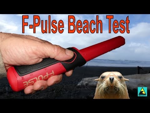 F-Pulse Pinpointer